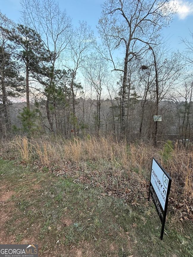 0 Luther Dr, Home with 0 bedrooms, 0 bathrooms and null parking in WEDOWEE AL | Image 11