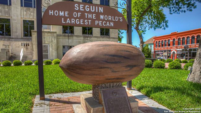 1013 Seedling Ln, House other with 3 bedrooms, 2 bathrooms and null parking in Seguin TX | Image 22