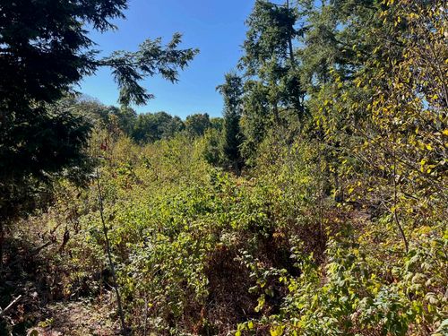 8757 Hemlock Hill Drive, Long Lake Township, MI, 49685 | Card Image