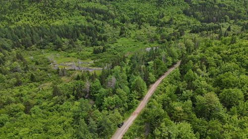 101 Ferguson Rd, Whycocomagh, NS, B0E3M0 | Card Image