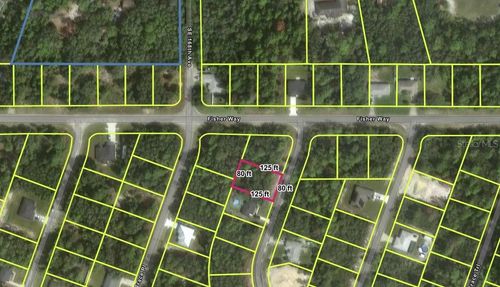 TBD Fisher Way Pl, Ocklawaha, FL, 32179 | Card Image