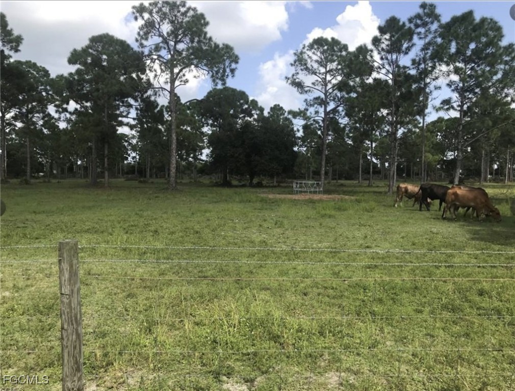 Land in Cape Coral
