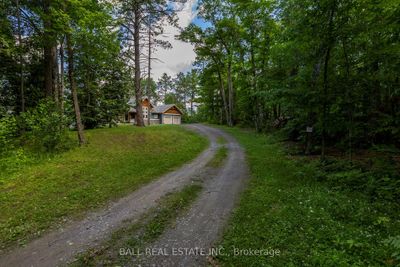 261 Fire Route 36, House other with 4 bedrooms, 3 bathrooms and 10 parking in North Kawartha ON | Image 3