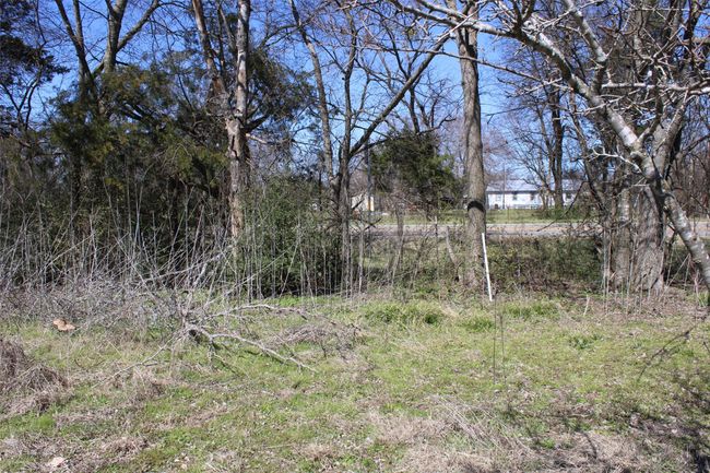 8738 Us Highway 67, Home with 0 bedrooms, 0 bathrooms and null parking in Saltillo TX | Image 5
