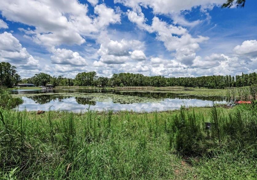 Land in LAND O LAKES 3