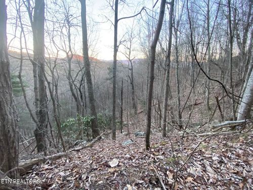 Lot 35 Elderberry Dr, Sevierville, TN, 37876 | Card Image