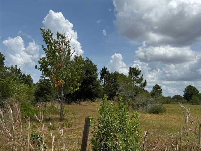 corner lot | Image 36