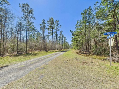 Vacant Vacant Sw Oregon Trl, GREENVILLE, FL, 32331 | Card Image