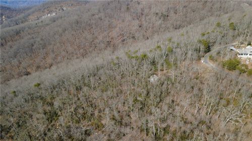 65 Big Pine Rock Way, Landrum, SC, 29356-3324 | Card Image