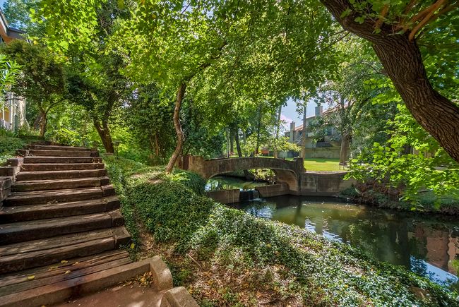 A quaint bridge spans a quiet river in a vibrant park, inviting visitors to enjoy the peaceful scenery. | Image 30