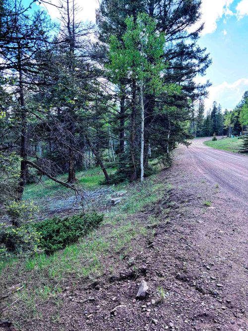 1042 Starshine Overlook, Angel Fire, NM, 87710 | Card Image