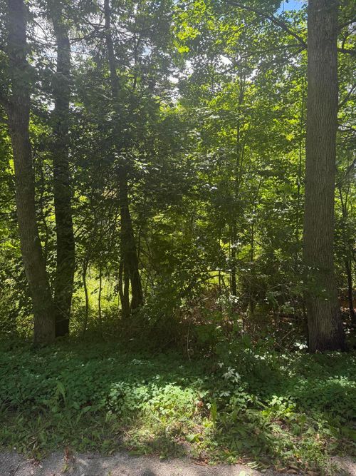 lot-2-0 Patterson Hill Road, Belfast, ME, 04915 | Card Image