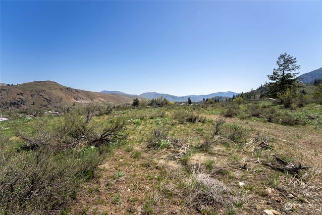 0 Lot 4 Isabella Ln, Home with 0 bedrooms, 0 bathrooms and null parking in Twisp WA | Image 11