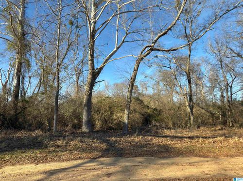 0-0 County Road 863, Maplesville, AL, 36750 | Card Image