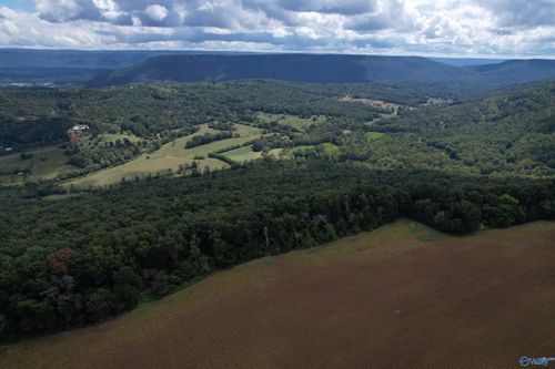 9.5 AC County Road 75, Flat Rock, AL, 35966 | Card Image