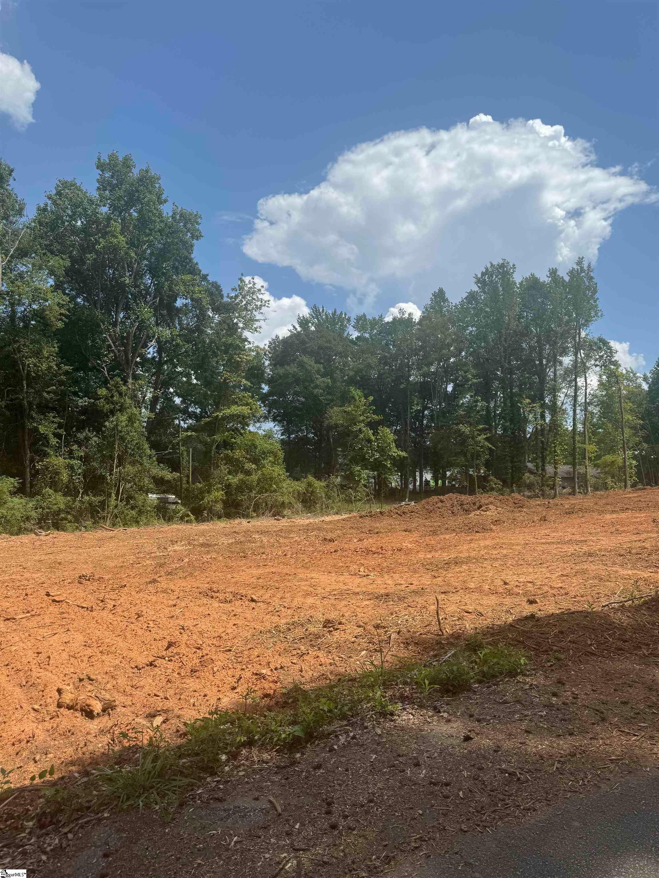 Land in Anderson 5