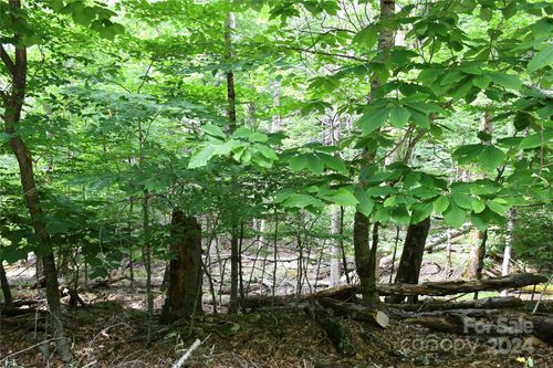 235-102 Blackberry Trl, Beech Mountain, NC, 28604-8028 | Card Image