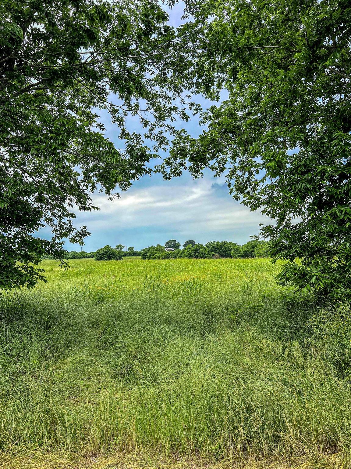 Land in Brenham