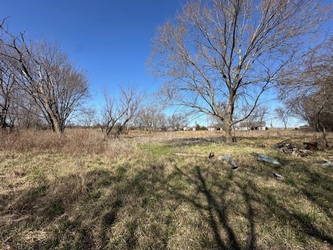 back land | Image 21