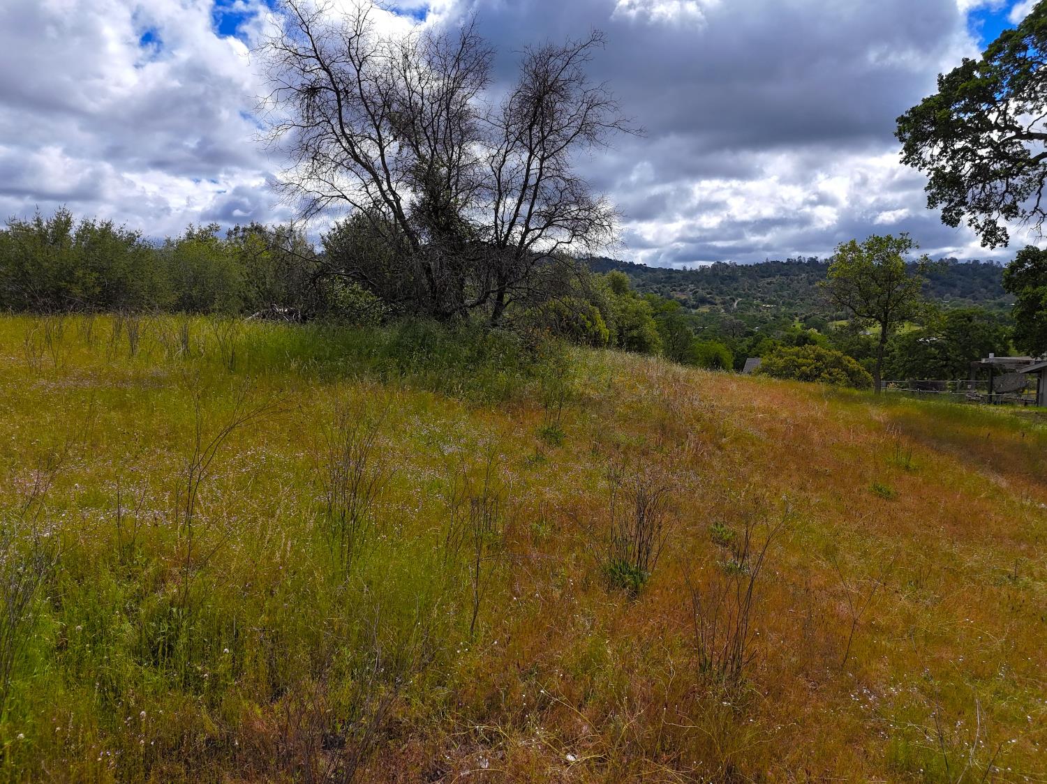 Land in Coarsegold 5