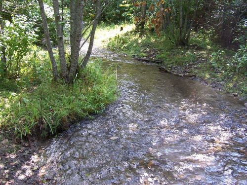 35XX Northport Flat Creek Rd, Colville, WA, 99114-0000 | Card Image