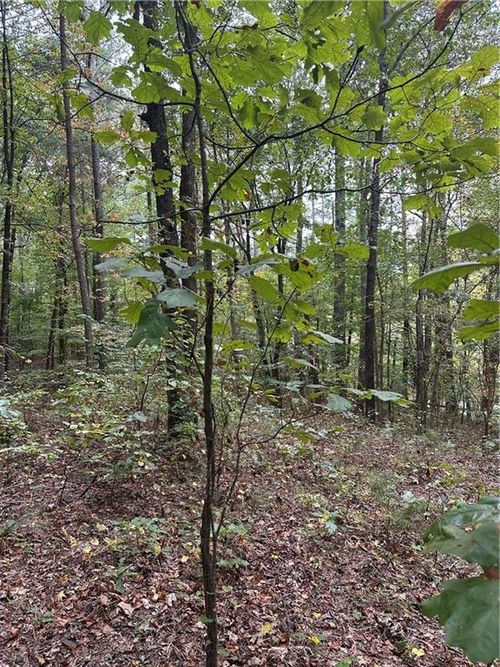 3826 Salacoa-Tract C, Waleska, GA, 30183 | Card Image