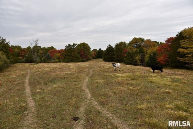 3465 Friendship Loop Loop, Home with 0 bedrooms, 0 bathrooms and null parking in Goreville IL | Image 20