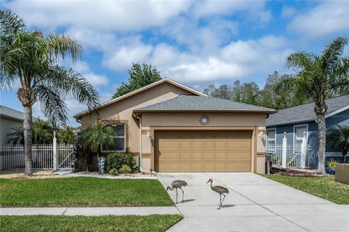 8415 Tarocco Ct, LAND O LAKES, FL, 34637-7517 | Card Image