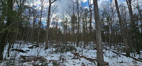 Lot 82 Perry Pond Rd, Narrowsburg, NY, 12764-5252 | Card Image