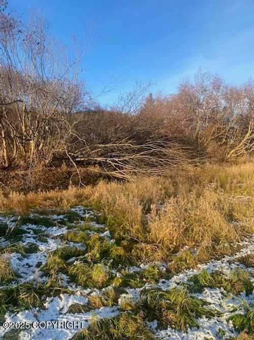 L19 Shelby Kay St, Homer, AK, 99603 | Card Image