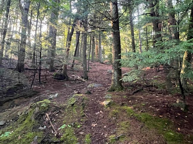 Map 6, Lot 38 Chadwick Hill Road, Home with 0 bedrooms, 0 bathrooms and null parking in Webster NH | Image 10