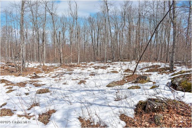 48 Durkin Rd, Home with 0 bedrooms, 0 bathrooms and null parking in North Creek NY | Image 65