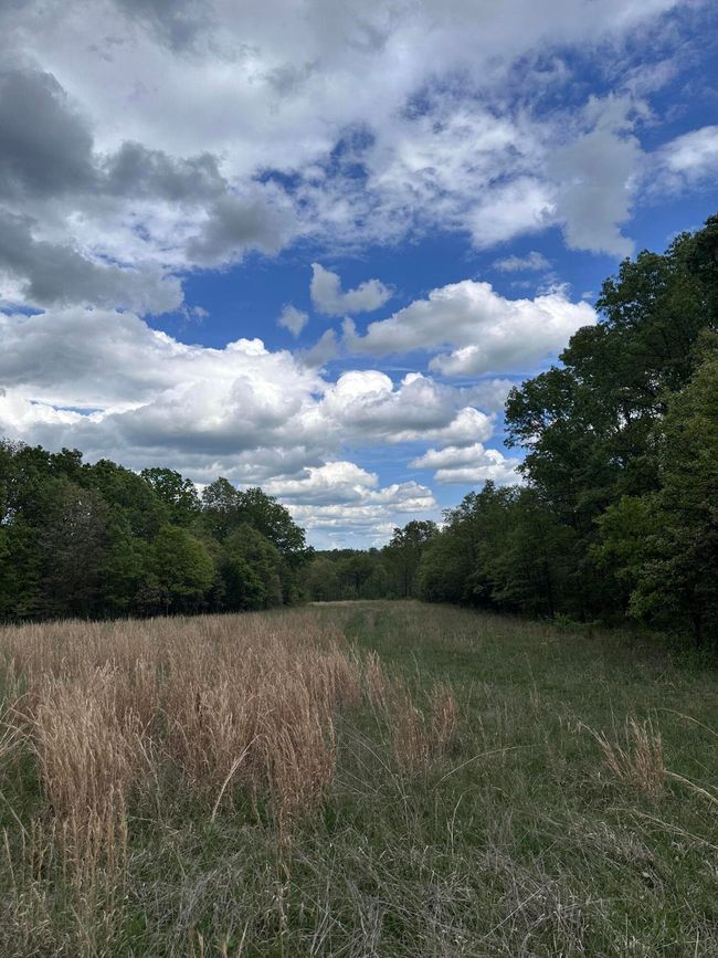 South Drive | Image 24