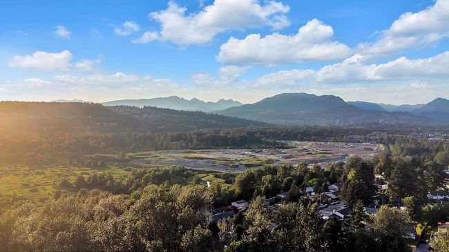 View of mountain feature with a forest view | Image 16