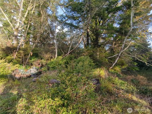 0 247th Ln, Ocean Park, WA, 98640 | Card Image