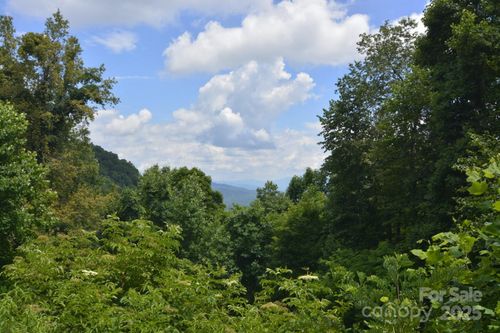 48-999 Red Wolf Run, Mars Hill, NC, 28754-1019 | Card Image