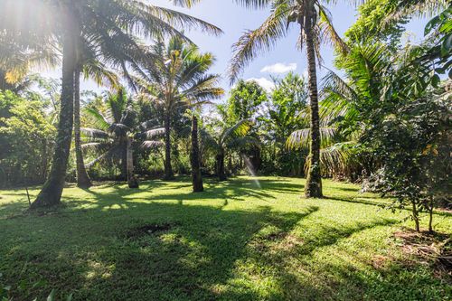 28-238 Akaka Falls Rd, Honomu, HI, 96728-2001 | Card Image