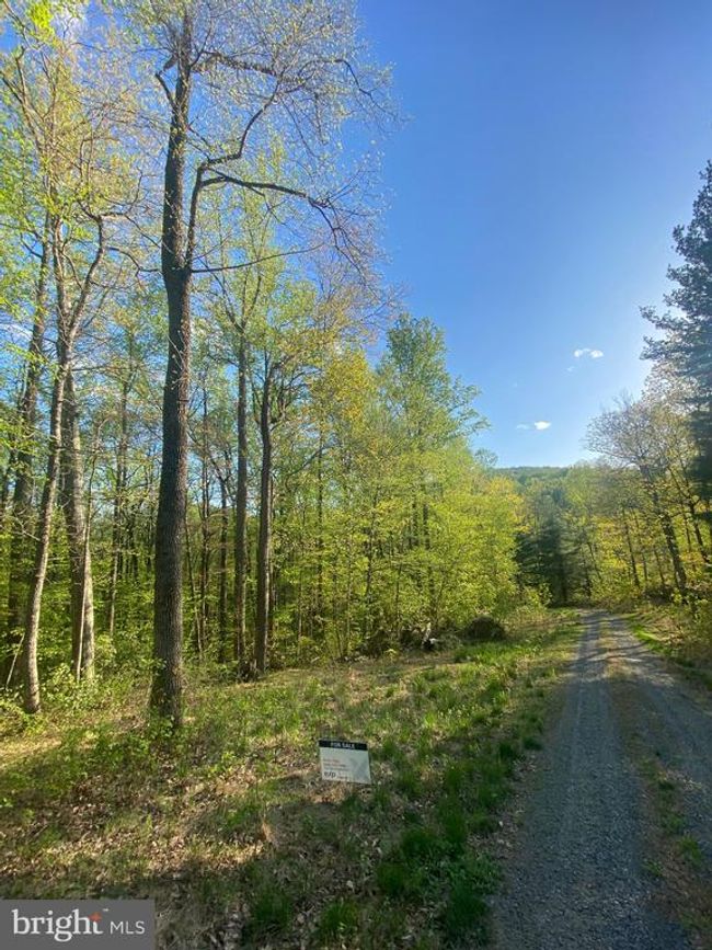 0 Revenooer Rd, Home with 0 bedrooms, 0 bathrooms and null parking in MADISON VA | Image 6