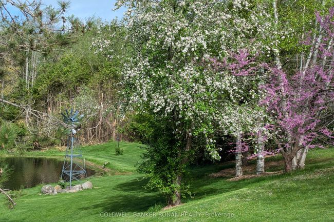 836138 4 Th Line, House other with 3 bedrooms, 2 bathrooms and 6 parking in Mulmur ON | Image 5