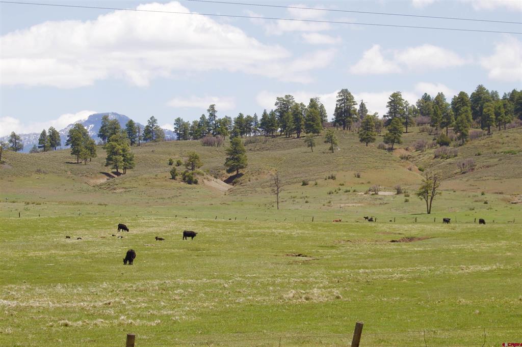 Land in Pagosa Springs 3