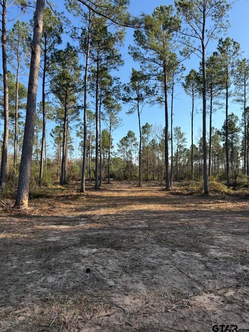 TBD-B County Road 216, Beckville, TX, 75631 | Card Image