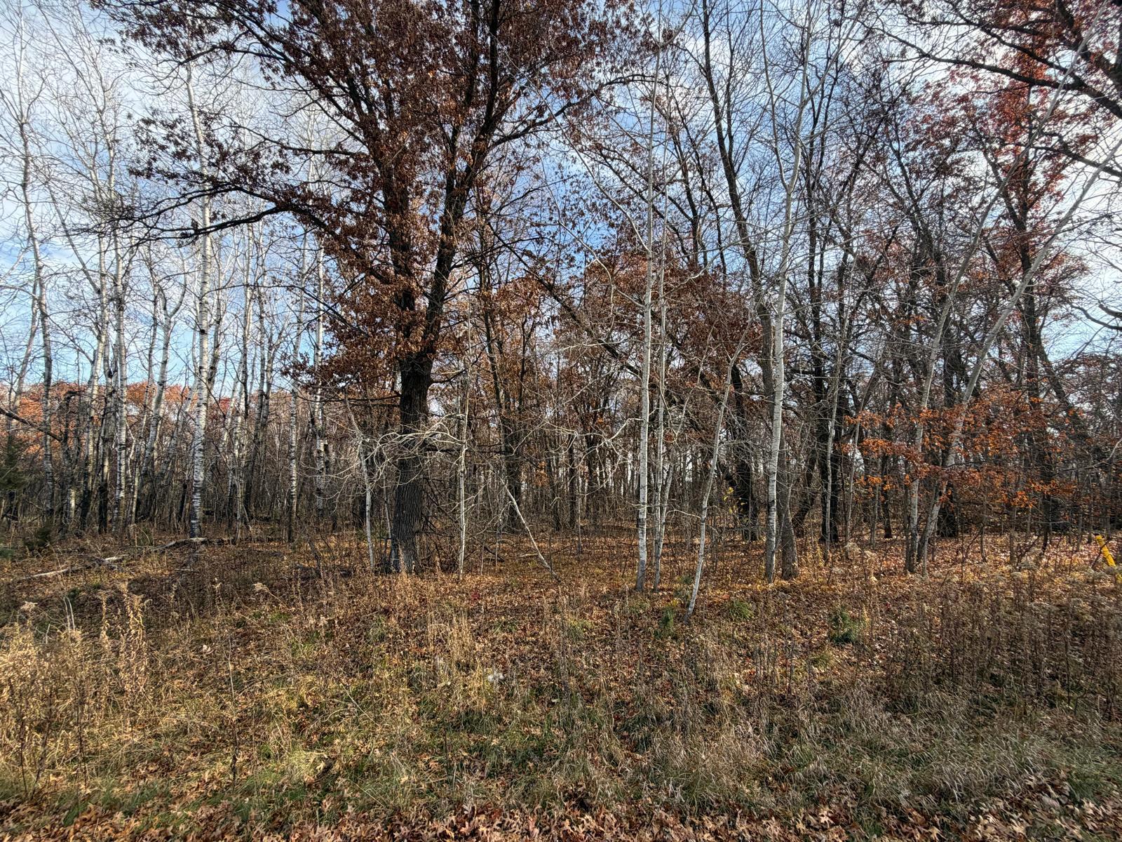 Land in Zimmerman