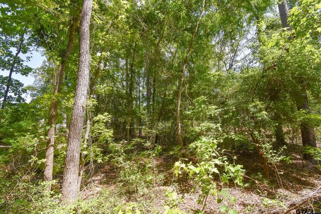 7933 Maple Ln, Home with 0 bedrooms, 0 bathrooms and null parking in Tyler TX | Image 6