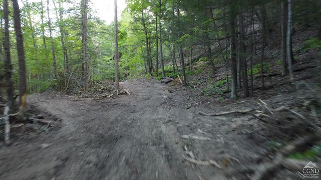 15 Gorge Rd, Home with 0 bedrooms, 0 bathrooms and null parking in Middleburgh NY | Image 21