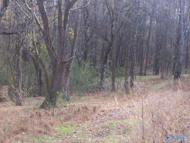 2176 Columbia Hwy, Home with 0 bedrooms, 0 bathrooms and null parking in Pulaski TN | Image 12