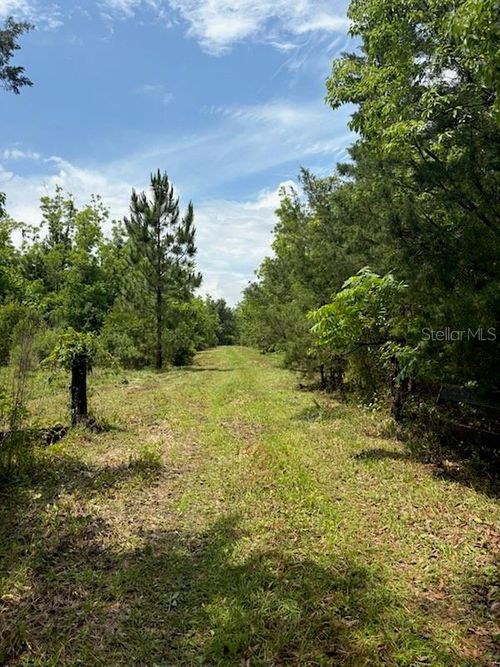 459 County Road 2006 E, Bunnell, FL, 32110-5417 | Card Image