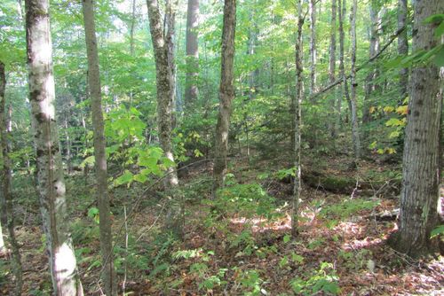 00 Vernon Dr, Woodsville, NH, 03785 | Card Image