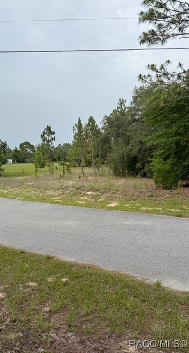 0 Sw 66 Th Loop, Home with 0 bedrooms, 0 bathrooms and null parking in DUNNELLON FL | Image 5
