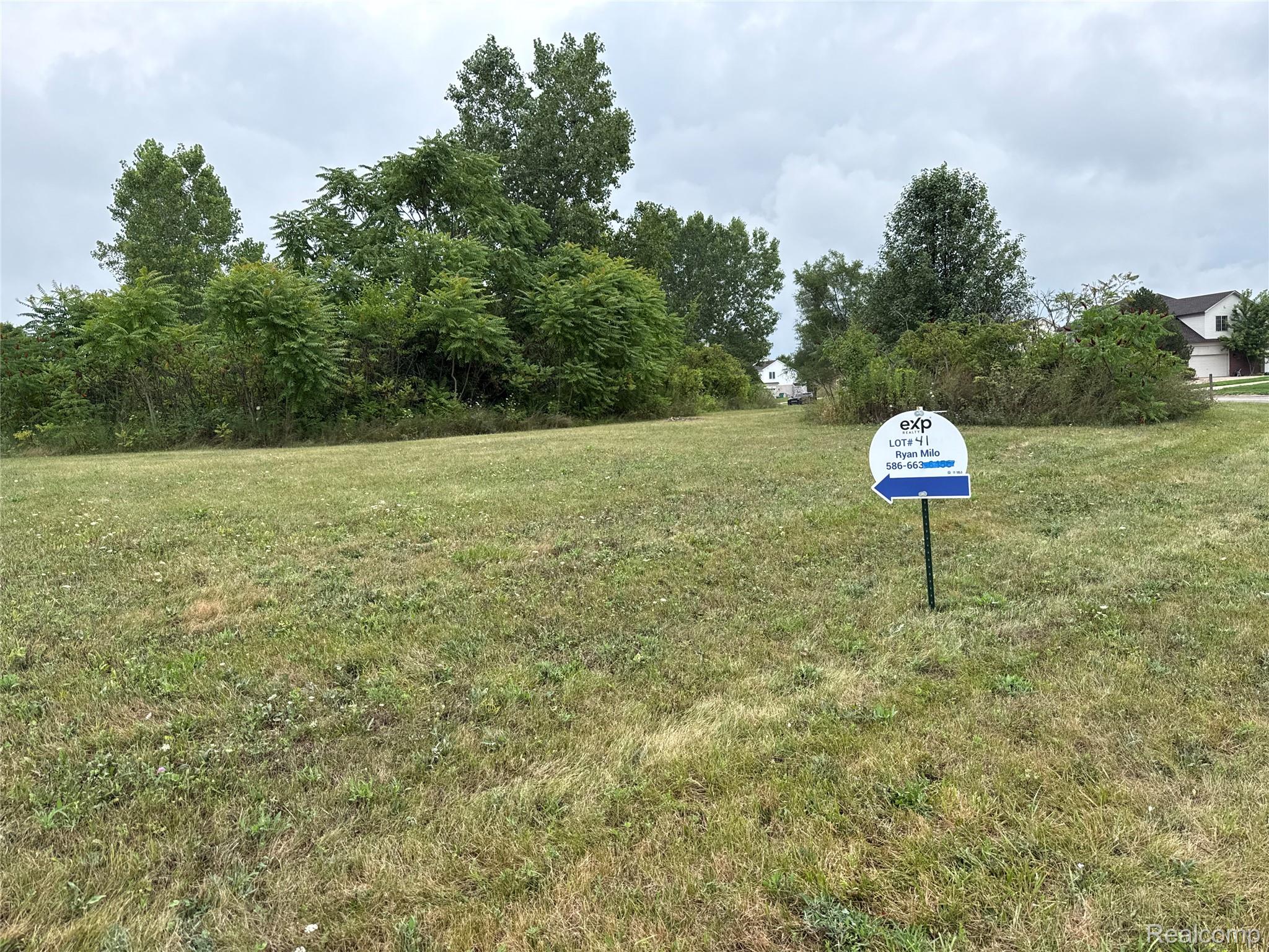 Land in Augusta Charter Township 2