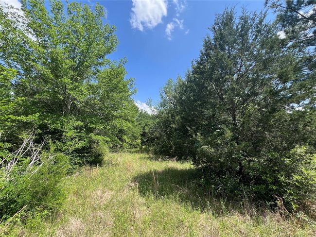 2 S Richards St, Home with 0 bedrooms, 0 bathrooms and null parking in Anderson TX | Image 4